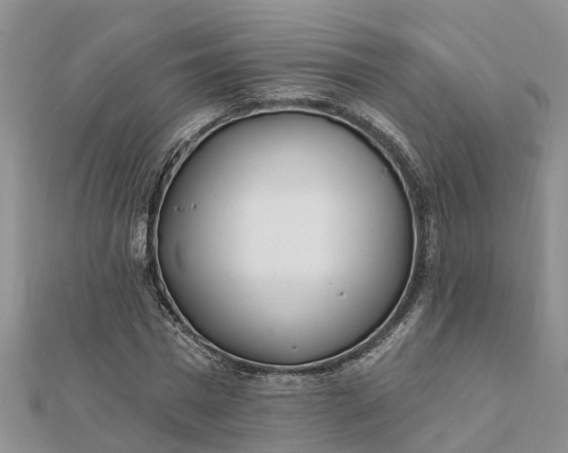 X0000112080777200908181241