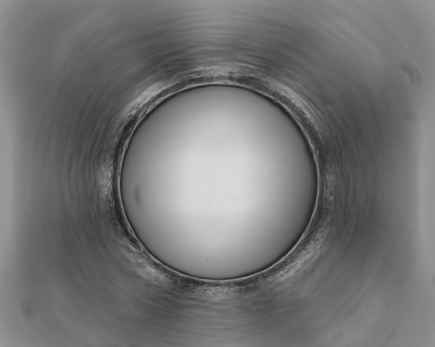 X0000112080778200908181241