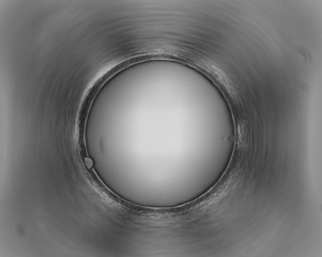 X0000112080780200908181241