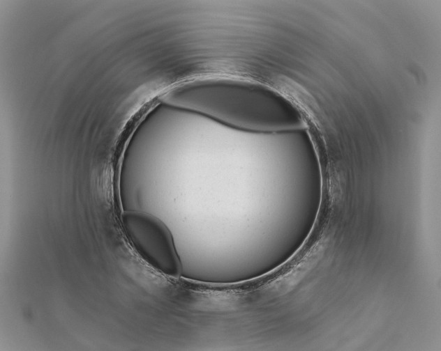 X0000112080781200908181241