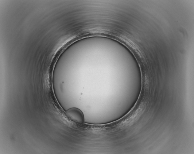 X0000112080782200908181241