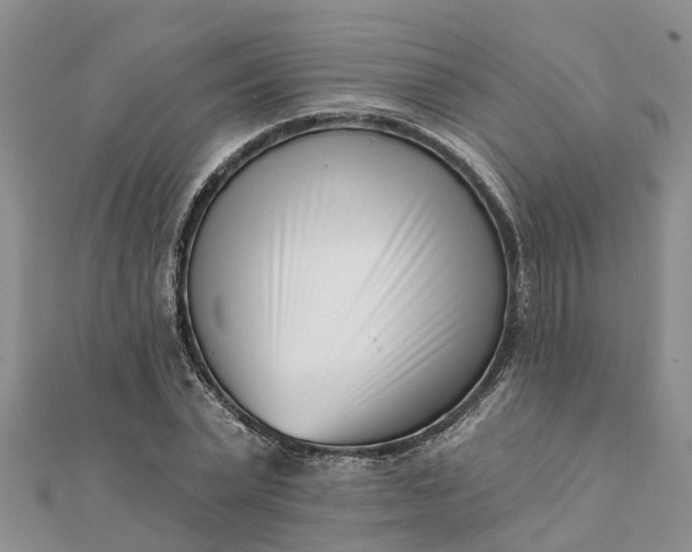 X0000112080783200908181241