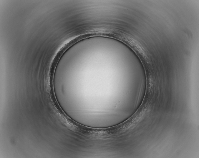 X0000112080784200908181241