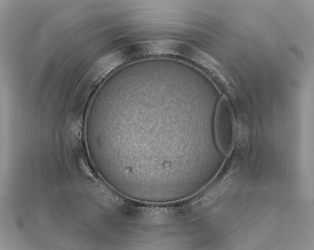 X0000112080785200908181241