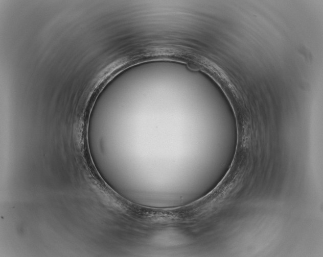 X0000112080786200908181241