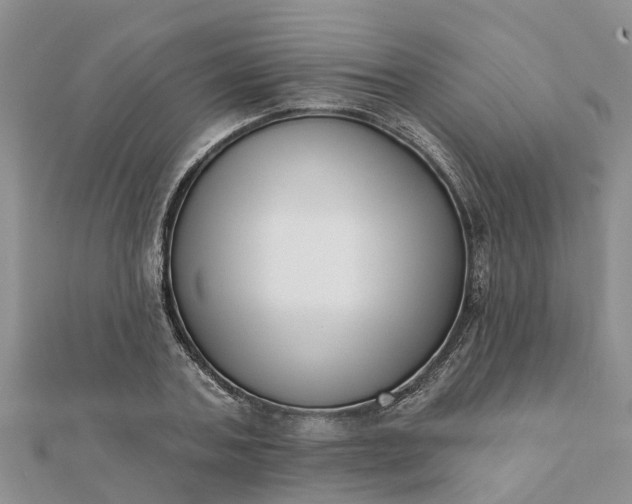 X0000112080787200908181241