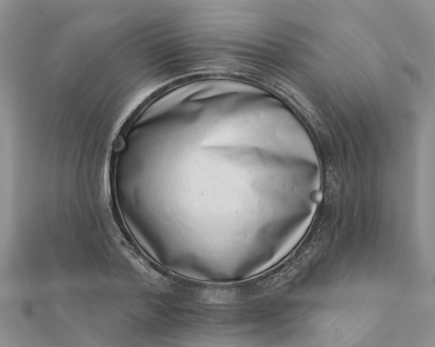 X0000112080788200908181241