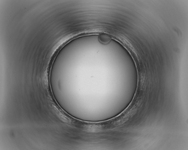 X0000112080789200908181241