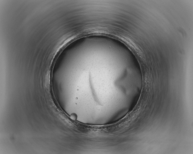 X0000112080790200908181241