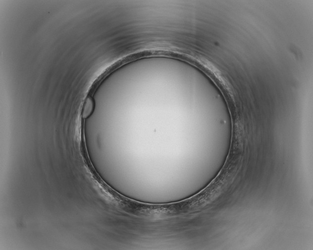 X0000112080791200908181241