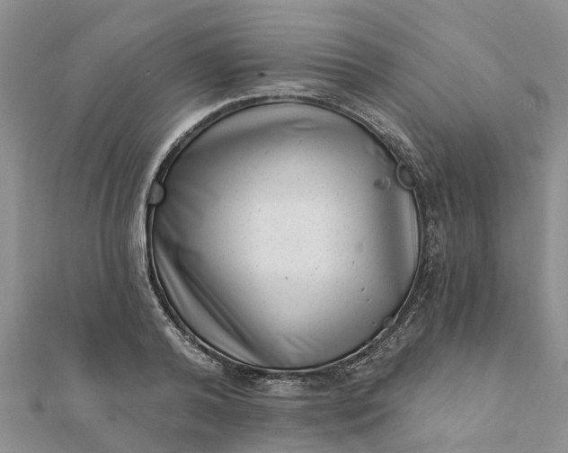 X0000112080792200908181240