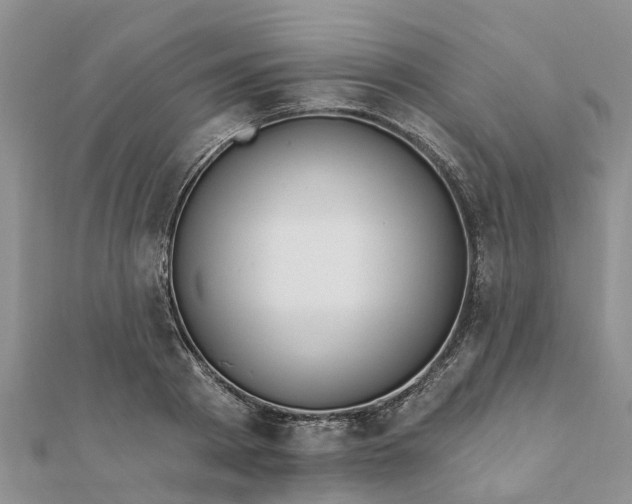 X0000112080793200908181240