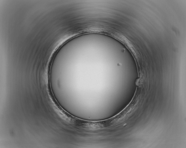 X0000112080795200908181240