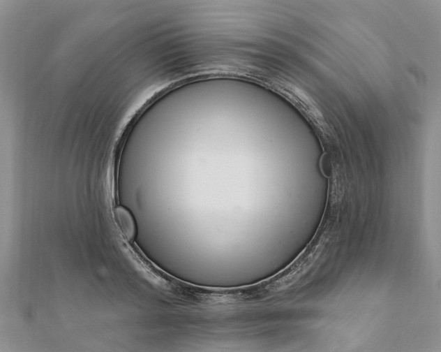 X0000112080796200908181240