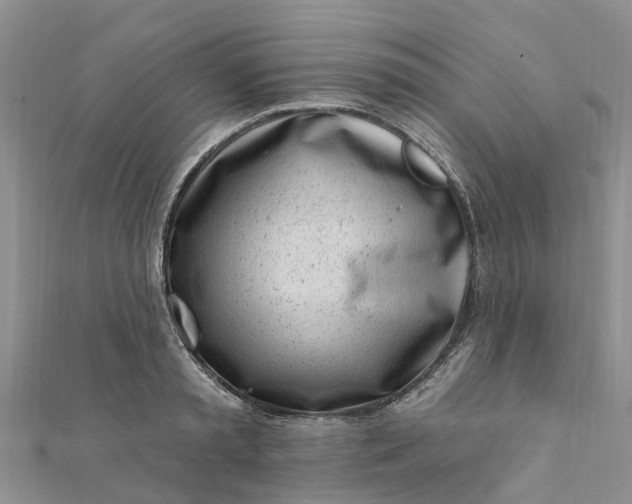 X0000112080797200908181240