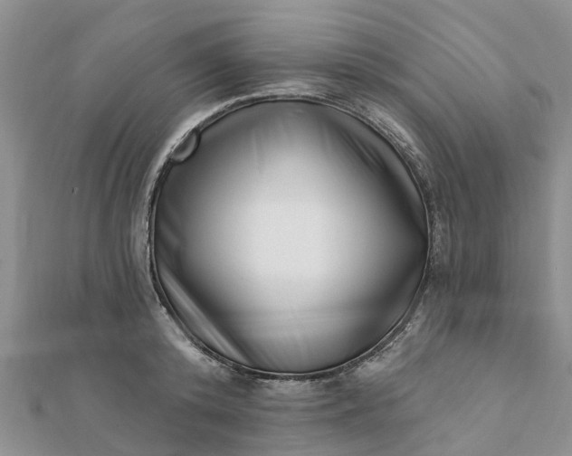 X0000112080800200908181240