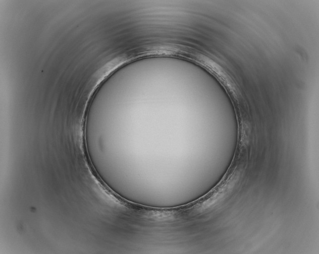 X0000112080802200908181240