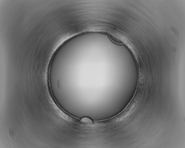 X0000112080803200908181240