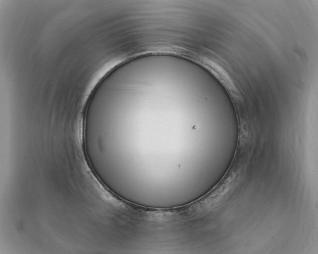 X0000112080804200908181240