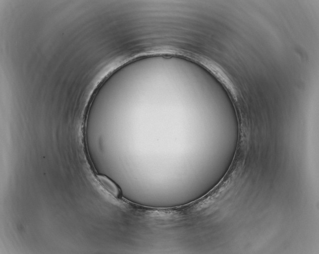 X0000112080805200908181240