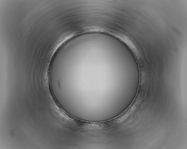 X0000112080806200908181240