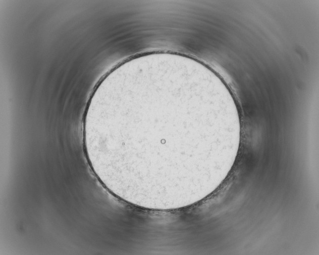 X0000112080807200908181240