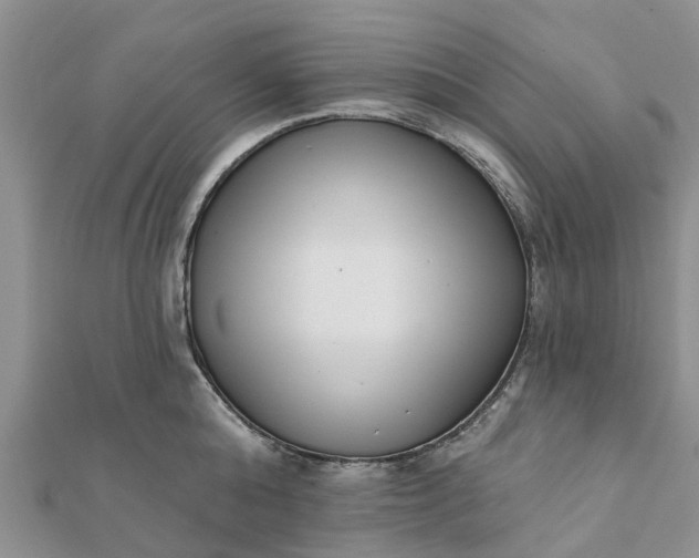 X0000112080808200908181240