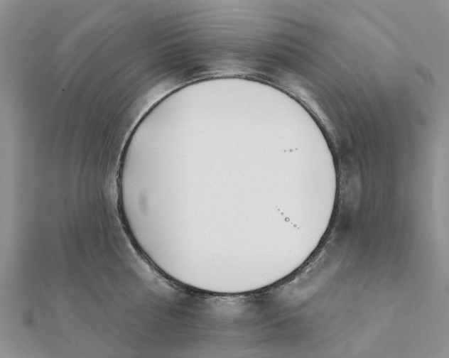 X0000112080810200908181240