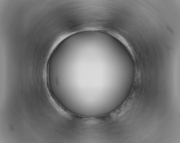 X0000112080811200908181240