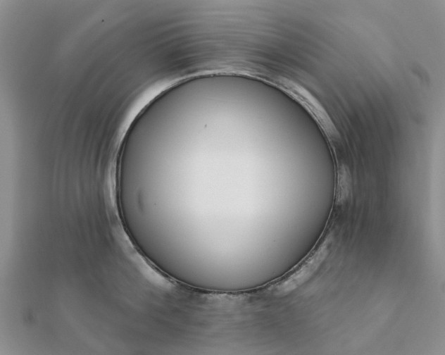 X0000112080812200908181240