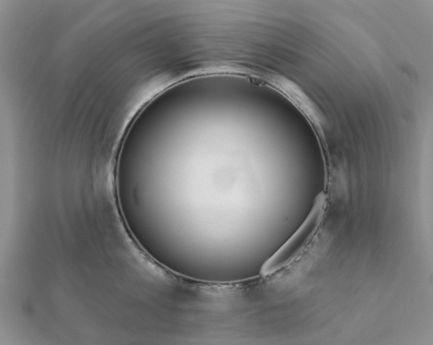 X0000112080813200908181240