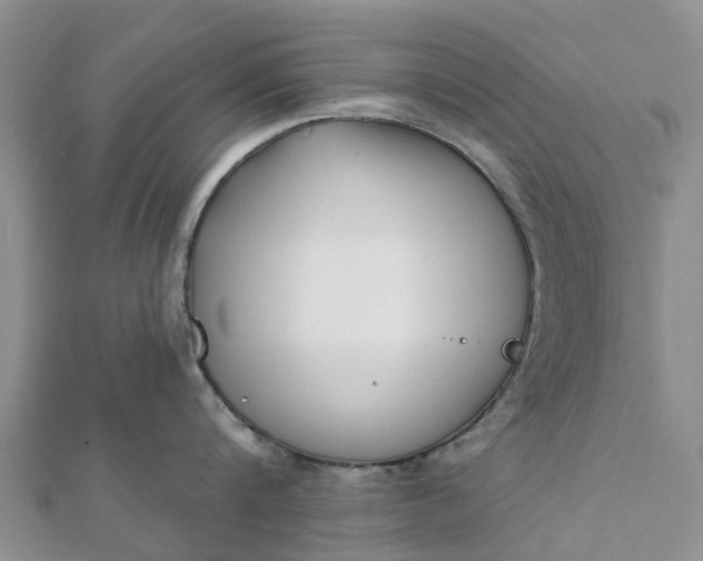 X0000112080816200908181240