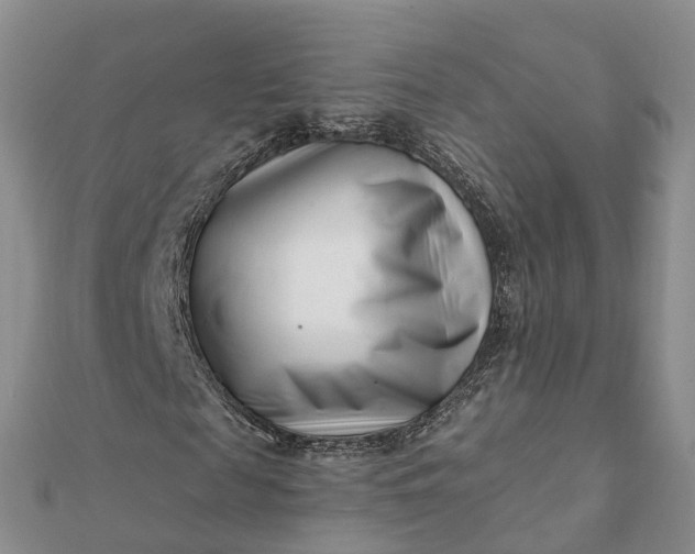 X0000112080817200908181240