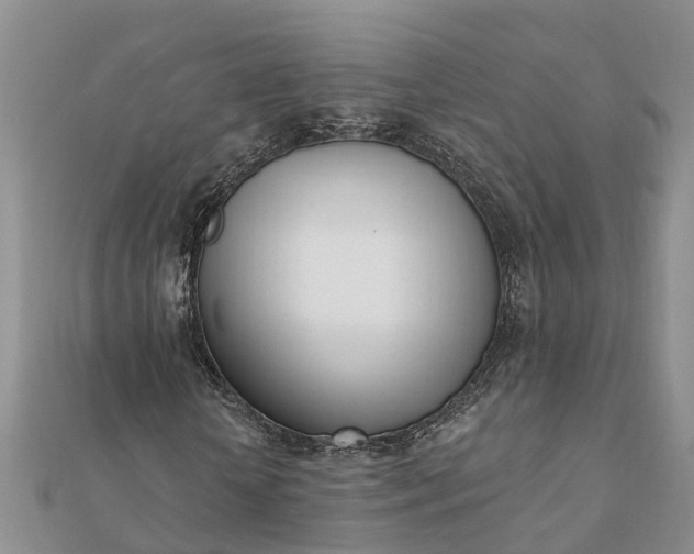 X0000112080818200908181240