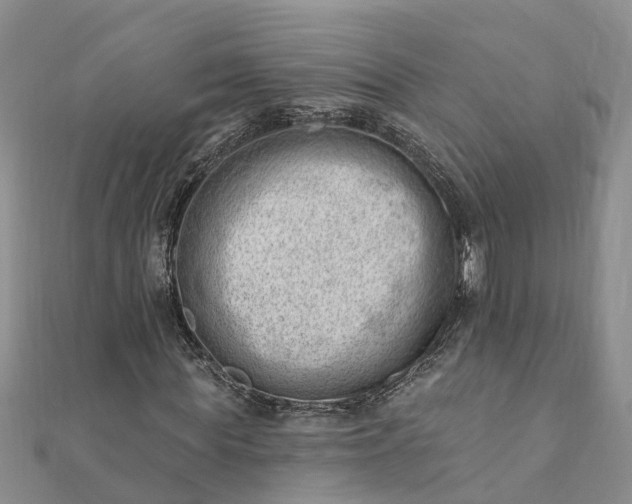 X0000112080819200908181240