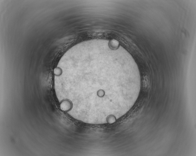 X0000112080820200908181240