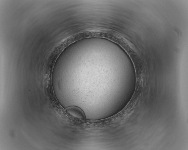 X0000112080821200908181240