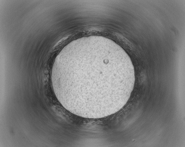 X0000112080824200908181240