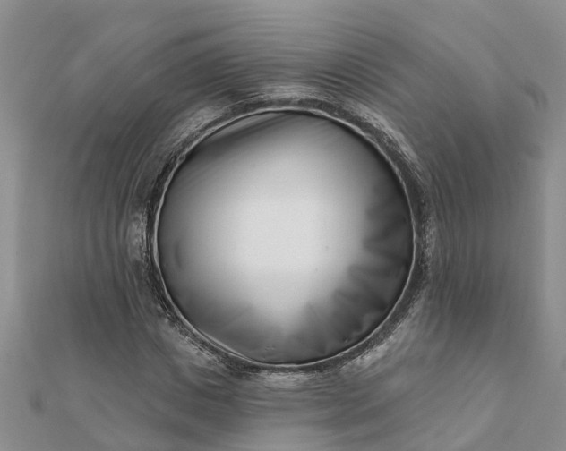 X0000112080825200908181240