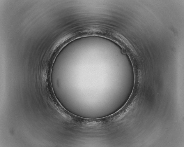 X0000112080826200908181240