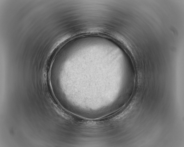 X0000112080827200908181240