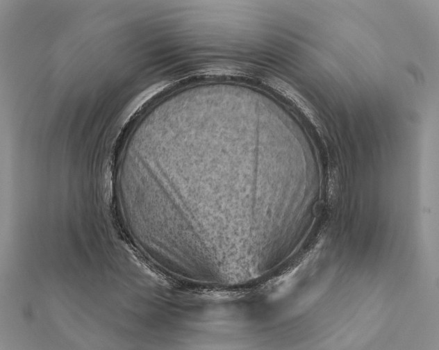 X0000112080829200908181240