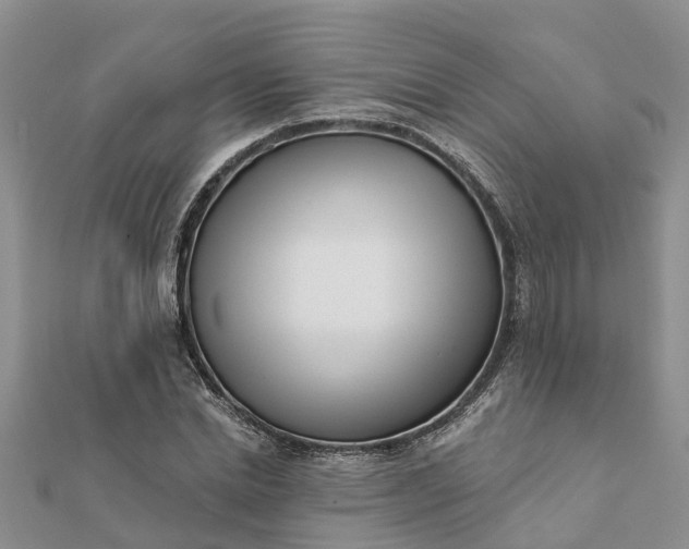 X0000112080830200908181240