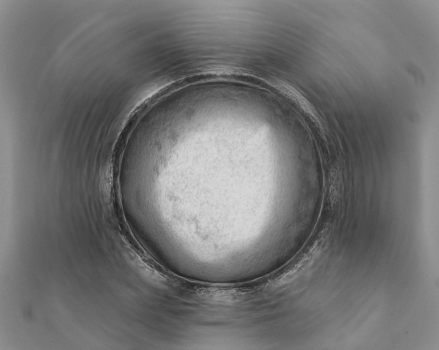 X0000112080831200908181240