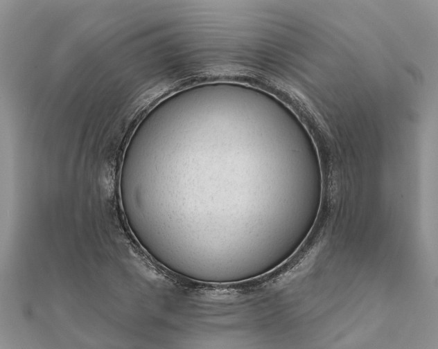 X0000112080833200908181240