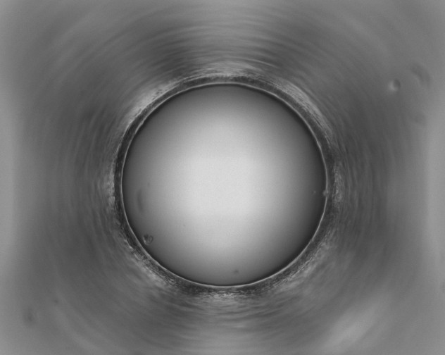 X0000112080834200908181240