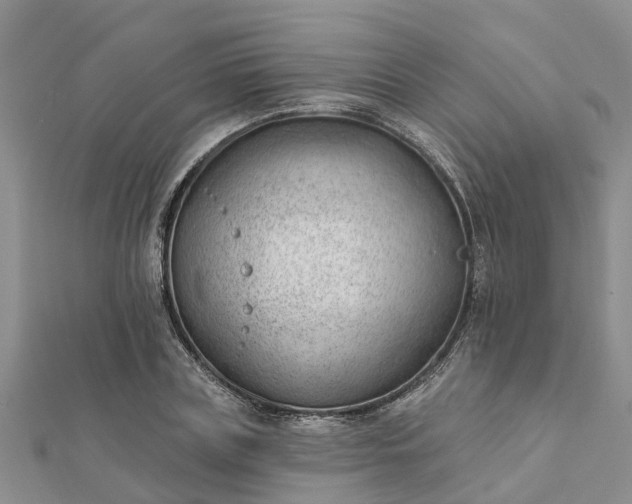 X0000112080835200908181240