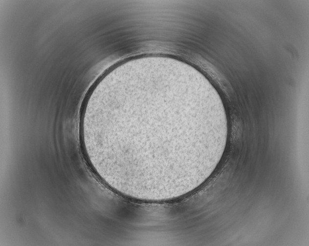 X0000112080836200908181240