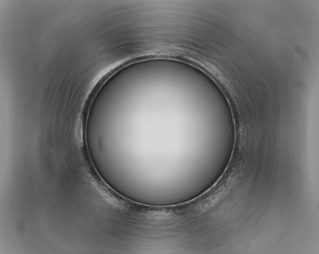 X0000112080838200908181240