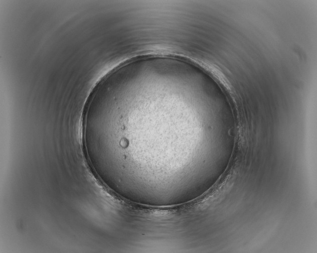 X0000112080839200908181240